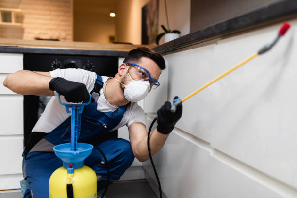 Best Residential Pest Control  in Branchville, SC
