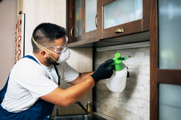 Pest Prevention Services in Branchville, SC