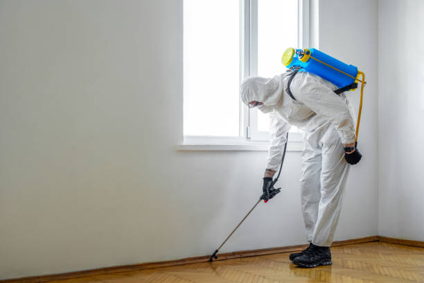 Best Pest Removal Services  in Branchville, SC