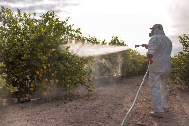 Best Affordable Pest Control Services  in Branchville, SC