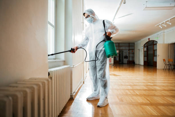 Best Termite Control Services  in Branchville, SC