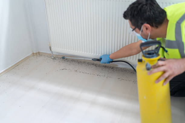 Best Bed Bug Extermination  in Branchville, SC